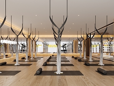 现代瑜伽室 现代健身更衣室