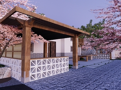 现代乡村民房 乡村