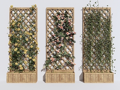 藤蔓 现代藤蔓植物 花架 绿植墙