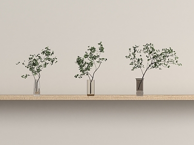 水生植物 水生植物 花瓶