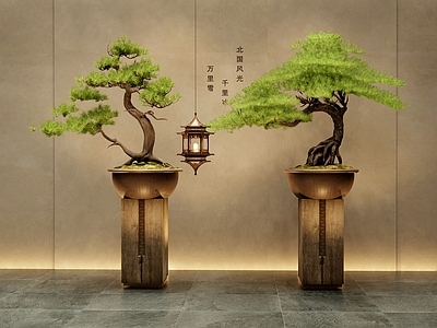 盆景 松树盆栽 松树盆景 花瓶摆件 玄关摆件 植物盆栽