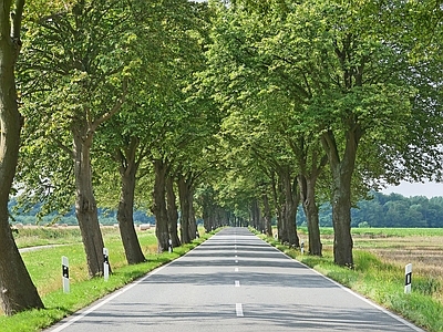 中式现代街道外景 街道夜景 道路 室外景观 大自然外景 乡村外景
