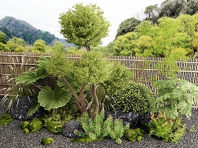 灌木 植物堆 植物造景 花境 花草植物 植物组合