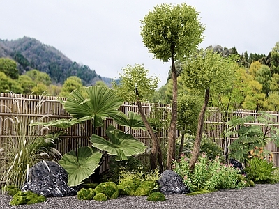 植物堆 灌木 植物组合 花境 花草植物 女贞