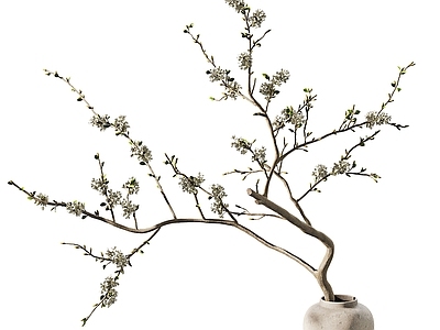 新中式侘寂花艺 花瓶 花艺 干枝 桃花