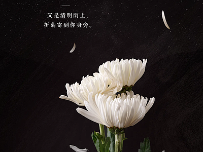现代纸书本 节气清明海报 宣传栏