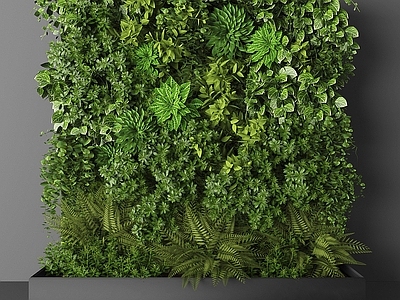植物堆 植物墙 植物 绿植 盆栽