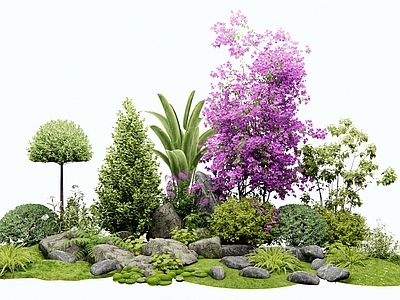 灌木 植物堆 花境 花草植物 植物组合 三角梅