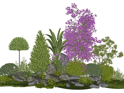 灌木 植物组合 花境组团 花草植物 三角梅 植物堆