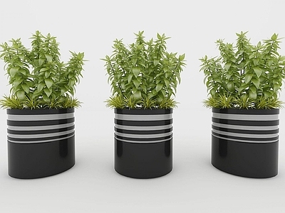 现代佛龛 现代装饰植物