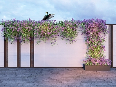 藤蔓 藤蔓 花草 植物墙 花墙