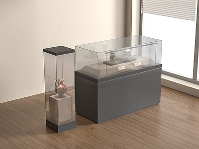 展柜 展柜 现代博物馆展柜