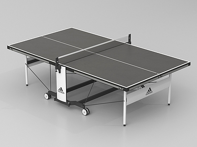 现代体育馆 乒乓球场 运动器材 乒乓球桌