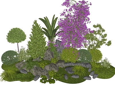 灌木 植物组合 花境组团 花草 植物堆 女贞