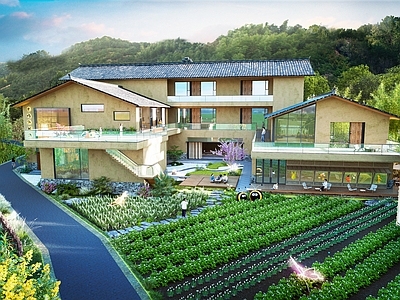 现代乡村民房 山地 民宿酒店 土屋