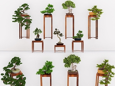 盆栽 新中式盆景松树 盆栽罗汉松组合 盆景罗汉松 盆栽绿植盆景 室内盆栽松树摆件
