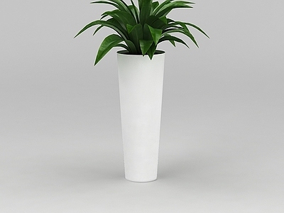 现代办公室绿植盆景