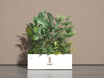 盆栽 盆栽 盆景 植物 绿植