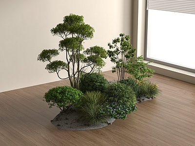灌木