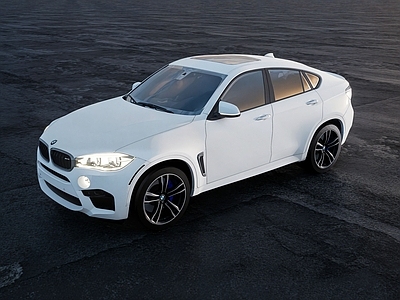 汽车 现代宝马X6M 2016款宝马