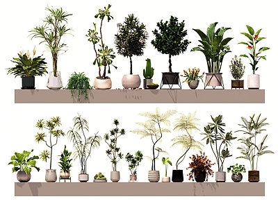 盆栽 森系植物盆栽组合 绿植盆栽 盆景 阳台植物 室内绿植 多肉盆栽