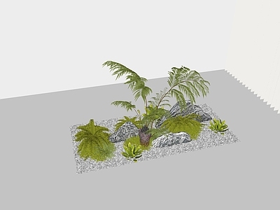 植物组合 盆栽组合 树池植物组合
