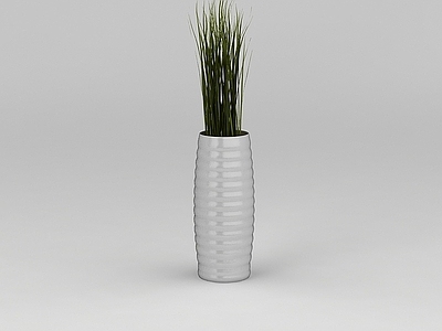 现代室内绿植盆景