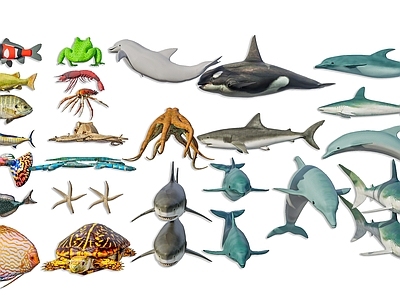 水生类动物 水族馆动物 水生动物 海洋生物动物鱼类 海洋鱼类 海底生物鱼类