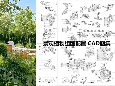 现代微地形图库 景观植物组团配置 施工图
