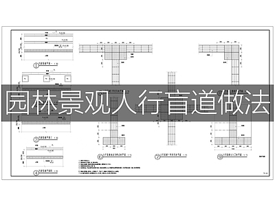 现代综合景观图库 人行盲道做法 施工图