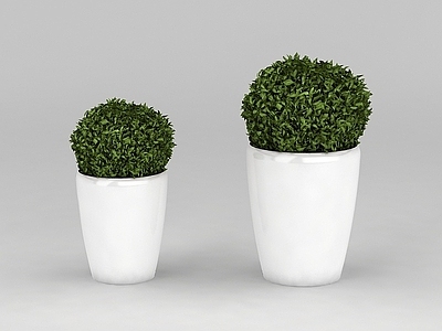 现代室内绿植盆景