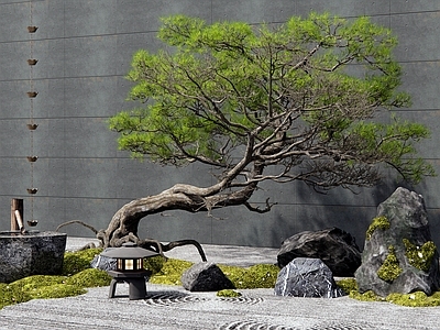 乔木 松树 景观石头 枯山水 水钵 庭院景观小品