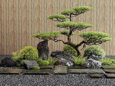 新中式庭院小品 汀步 石板路 松树 灌木 植物造景