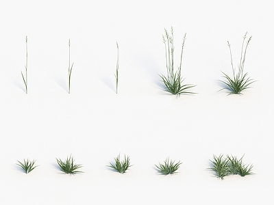 现代佛龛 现代装饰植物