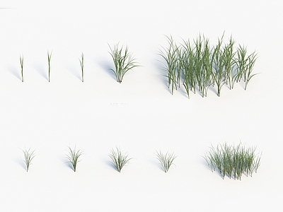 现代佛龛 现代装饰植物