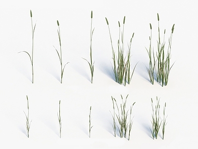 现代佛龛 现代装饰植物