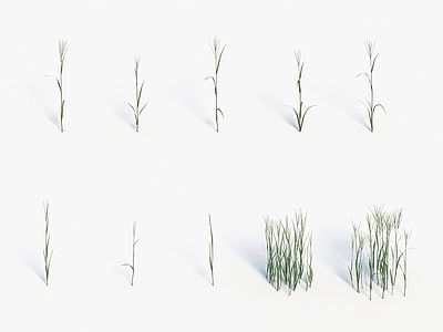 现代佛龛 现代装饰植物