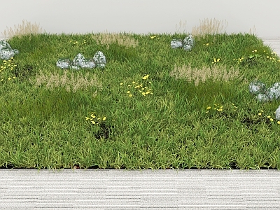 草 草地