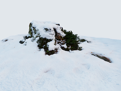 现代其他景观 雪景 雪山 山脉 高原 冰川