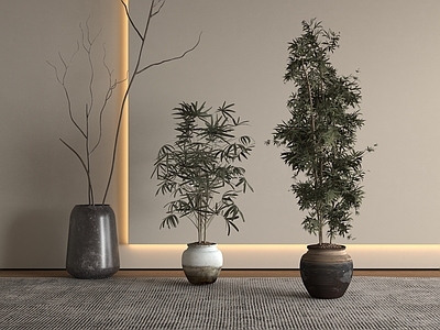 盆栽 盆栽 中古风植物 植物组合