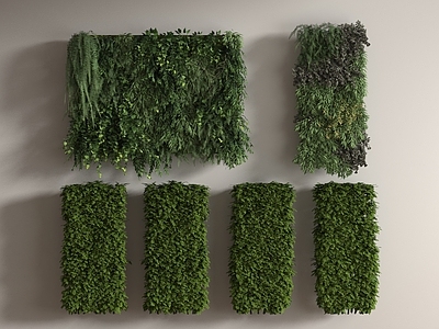 绿植墙