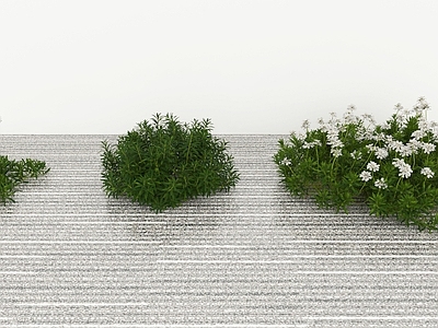 花草组合 花卉 屈曲花