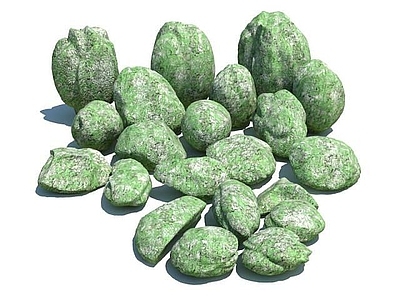 现代长青苔的石头