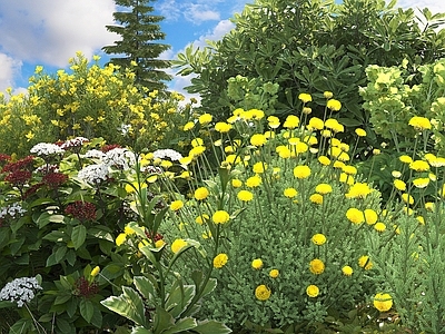 花草组合 绿植花园