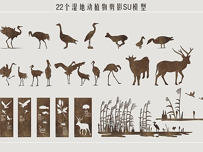 水生动物 湿地动植物 飞鸟剪影 湿地剪影 湿地科普小品