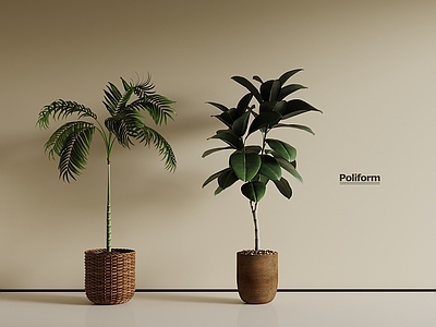 盆栽 中古风绿植 盆栽植物