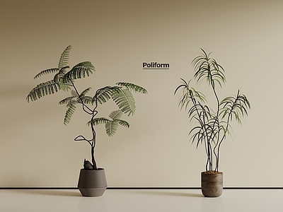 盆栽 中古风绿植 盆栽植物