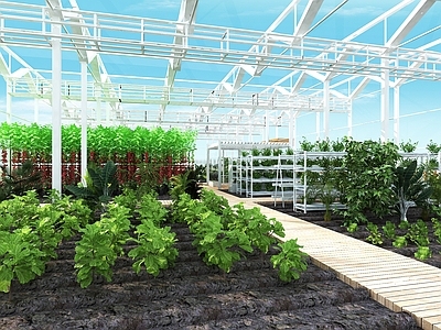 现代其他景观 蔬菜大棚种植