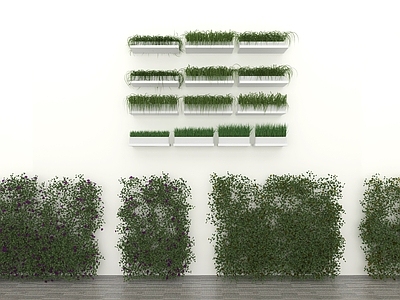 藤蔓 藤蔓墙爬山虎