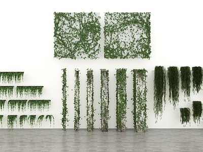 藤蔓 藤蔓包柱爬山虎